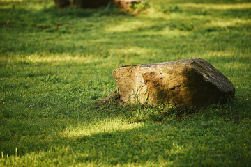 Big stone on green grass in sunlight day