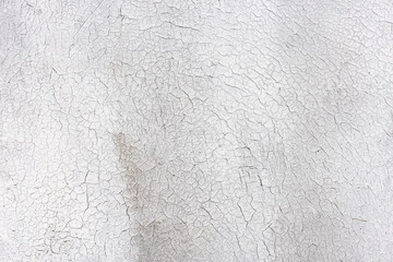 Grunge cement wallpaper texture and background gray color
