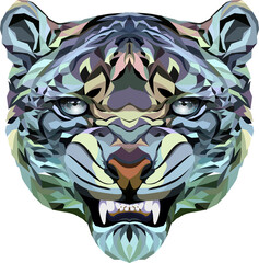 Snow leopard