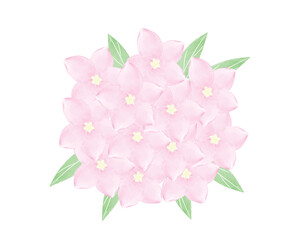 Sweet pink watercolor flowers bouquet on white
