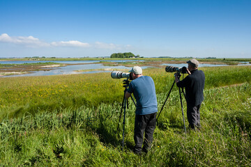 Vogelfotografen, Bird Photographers