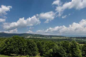 Fototapeta na wymiar Scenery View in Nature, Romania