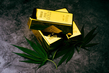 The cannabis plant with gold ingots. Gold bars with marijuana leaves.