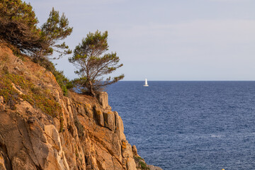 Picture of a cliff with trees and the sea behind it with a sailboat. Mediterranean sea coast.