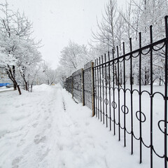 snow covered fence