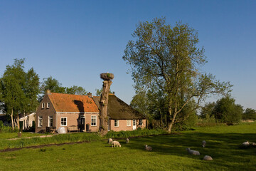 Fototapeta na wymiar Boerderij in Rottige Meente, Farm at Rottige Meente