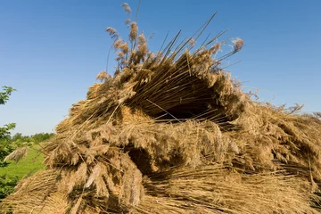 Poster Rietbalen, Reed Bales © AGAMI