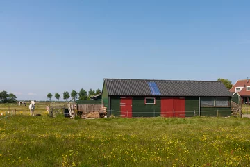 Fotobehang Schuur in weiland, Shed in meadow © AGAMI