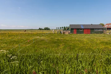Foto op Canvas Schuur in weiland, Shed in meadow © AGAMI