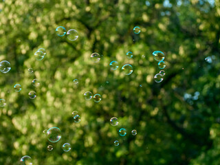 Soap bubbles on green nature background.