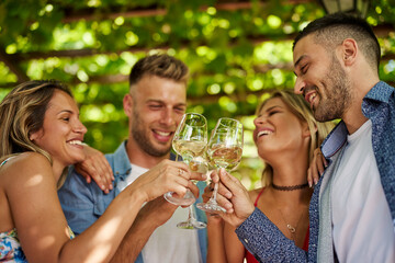 Group of Happy friends toasting with glasses of wines in the backyard