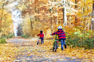 Two little kid boys in colorful warm clothes in autumn forest park driving bicycle. Active children cycling on sunny fall day in nature. Safety, sports, leisure with kids concept. Best friends having