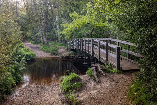 Wooden footbridge over a river and ford with distant path rising up a hill in the New Forest, Lymington, Hampshire, UK