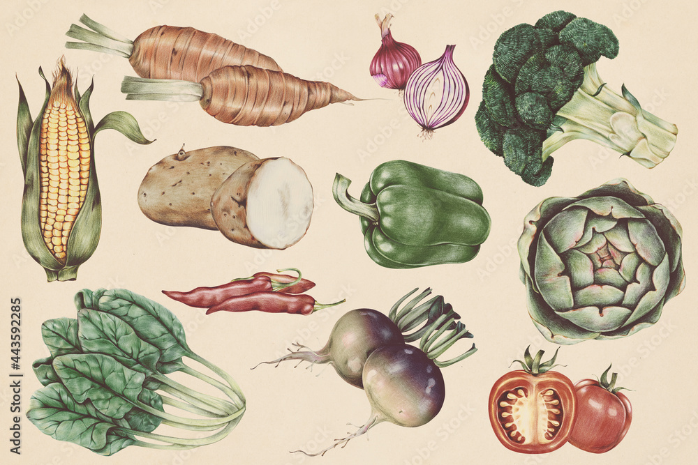 Canvas Prints hand drawn vegetable pattern illustration - Canvas Prints