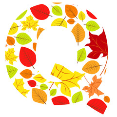 Vector letter Q from autumn leaves. Illustration on the subject of the alphabet.