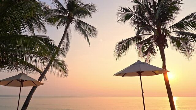 Tropical island seashore on sunset, Palm trees and parasol silhouette near the beach
