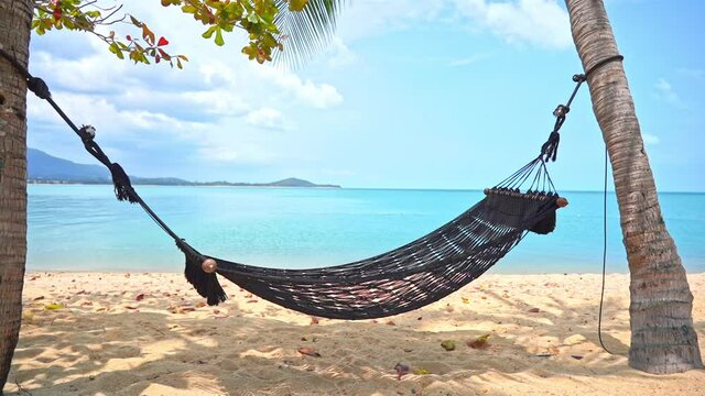 Empty Cotton Rope Hammock hanging between Palm trees at dream island in Caribbean