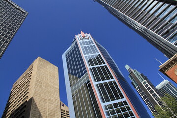 Obraz premium Urban Skyscraper with blue sky 