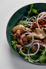 Mushrooms with onions and herbs, assorted pickled mushrooms in a plate on a light background, close-up