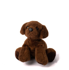 Little toy plush brown puppy on the white background