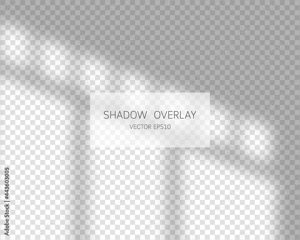 Poster shadow overlay effect. natural shadows from window isolated on transparent background. vector illust