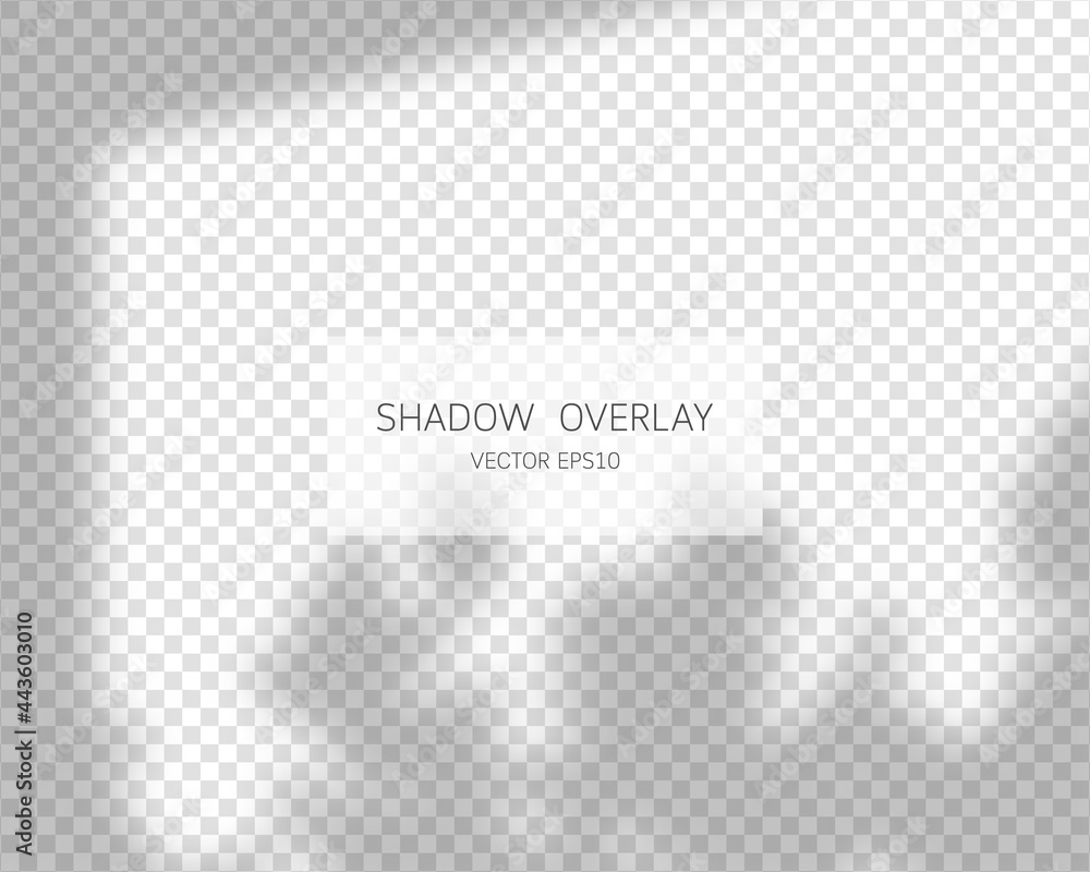 Poster shadow overlay effect. natural shadows from window isolated on transparent background. vector illust