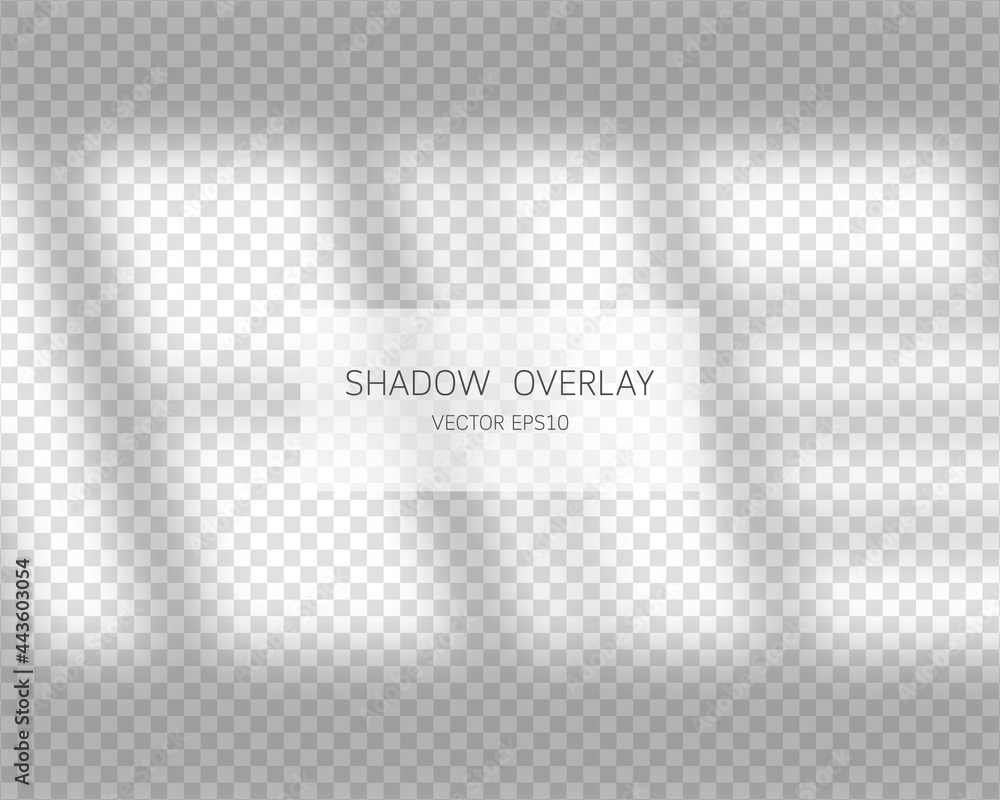 Poster shadow overlay effect. natural shadows from window isolated on transparent background. vector illust