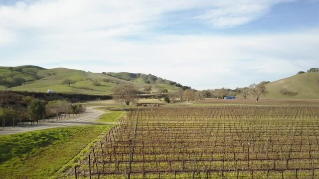 Aerial shot of Californian vineyard, remote countryside on summer day