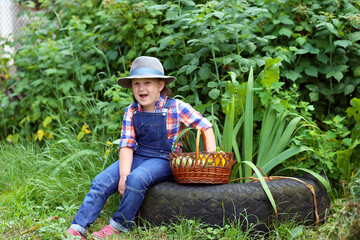 Little farmer - happy cute child girl boy in a plaid shirt, denim overalls and a hat sits on a tire with a basket of zucchini during the harvest. Organic farming concept, no GMO and no herbicides