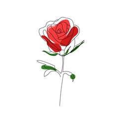 Red rose line art style