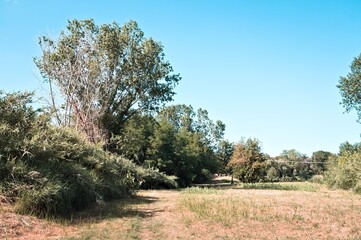 A deserted countryside trail on a summer day (Marche, Italy, Europe)