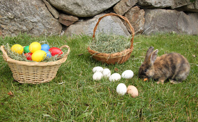brown bunny in the green meadow, next to it baskets with hay and colorful easter eggs