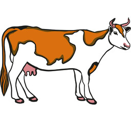 red cow on white background 