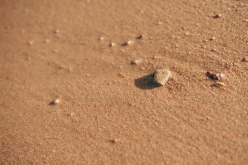 Sand on the beach. sand background.