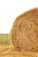 Hay bail harvesting in golden field landscape. Vertical photo. Macro