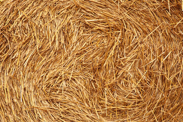 Hay background, hay wallpaper, texture. Macro photo