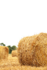 Hay bail harvesting in golden field landscape. Vertical photo