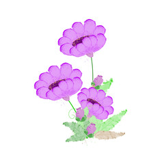 Watercolor floral illustration design on pink color.