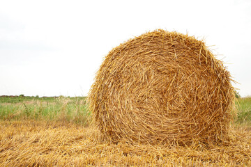 Hay bail harvesting in golden field landscape