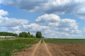 Road to the field. Summer agricultural landscape on a sunny day. To the right of the road is a...