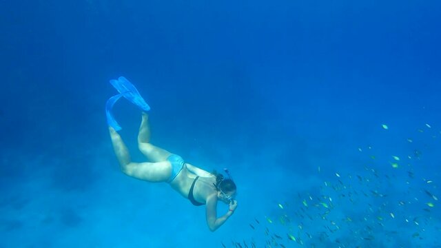 A woman in a mask and fins dives to the deep near tropical coral reef and looks at marine life. Female snorkeler swims underwater and looking at on tropical fishes floats nearby. Slow motion