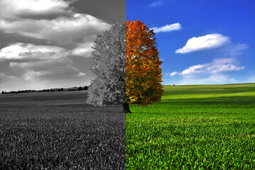 Naklejka na ściany i meble An image representing the difference between green nature and arid land (drought, pollution)