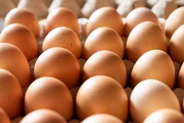 fresh eggs in a carton box from agriculture farm.