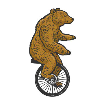 unicycle cartoon circus bear color line art sketch engraving vector illustration. T-shirt apparel print design. Scratch board imitation. Black and white hand drawn image.