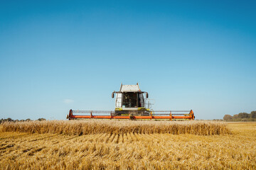 Fototapeta na wymiar Combine harvester harvests ripe wheat. Agriculture image