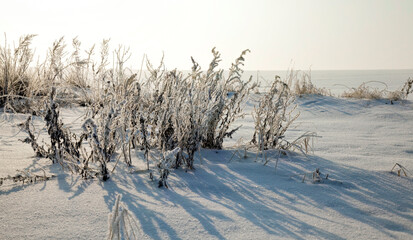 snow and ice covered grass