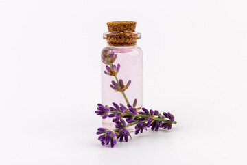 Glass bottle of Lavender essential oil with fresh lavender flowers on white background, aromatherapy spa massage concept. Lavender oil