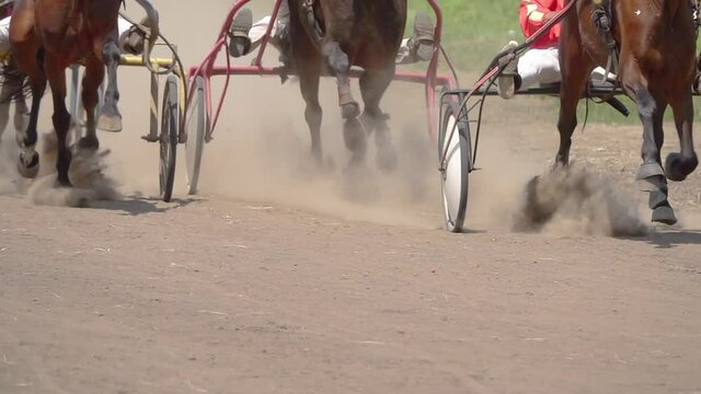 Many Horses Compete in Harness Racing on a Summer Day. Slow Motion