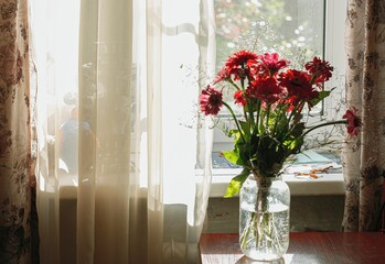 flowers and window