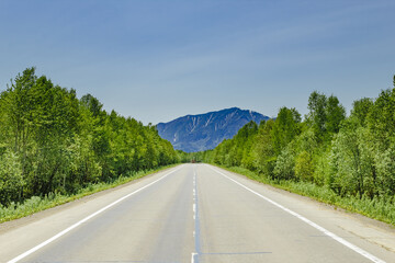 Fototapeta premium A marked road with trees on the sides and high hills in the background.